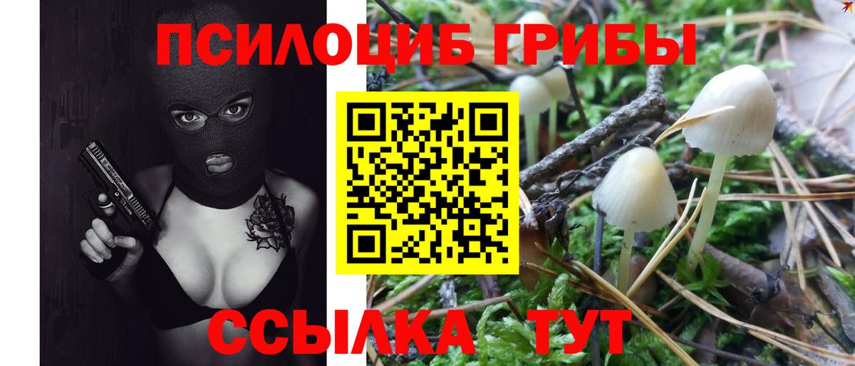 Оренбург  где купить наркотик  Вход с VPN  Псилоцибиновые грибы мухоморы 